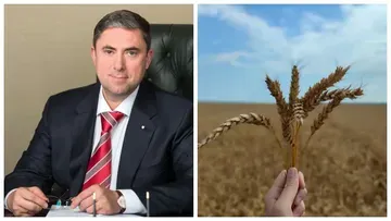 Искусственный интеллект помогает аграриям работать эффективнее — Максим Увайдов